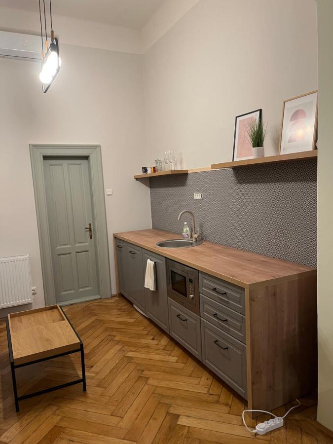 Barty Downtown Apart 1 Тімішоара Екстер'єр фото